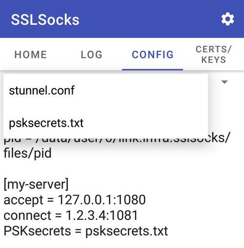 sslsocks config dropdown